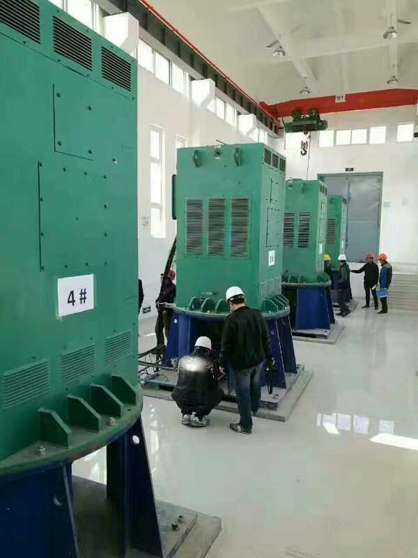 息县某污水处理厂使用我厂的立式高压电机安装现场安装尺寸